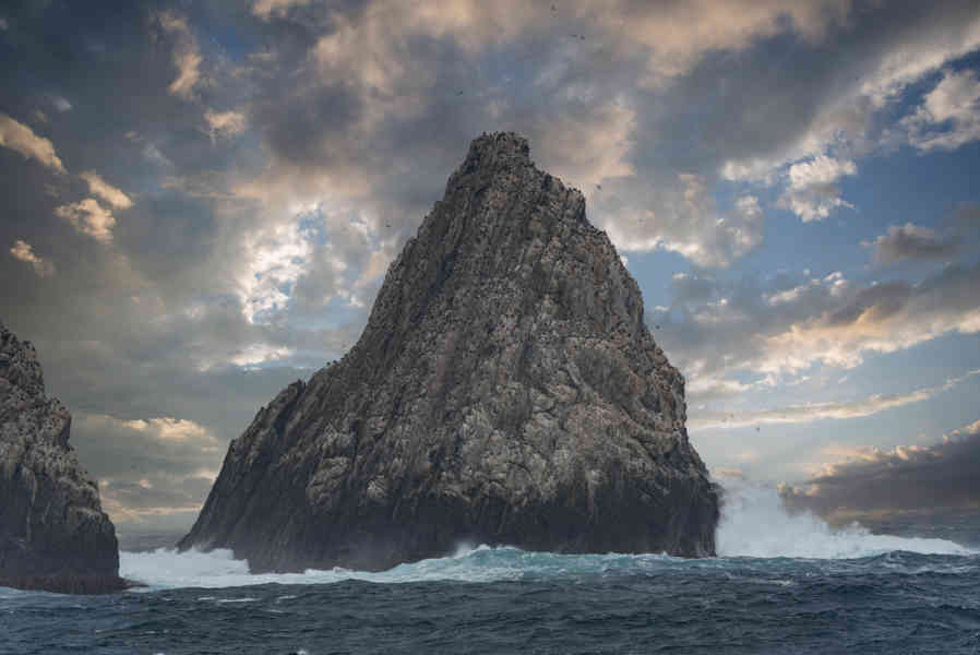 Islas Georgias del Sur 099 - Shag Rocks.jpg